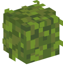 Minecraft head — Plants