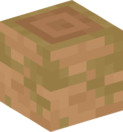 Minecraft head — Blocks