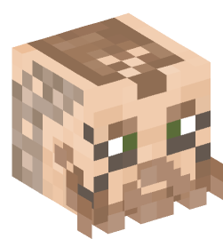 Minecraft head — People