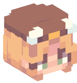 Minecraft head — People