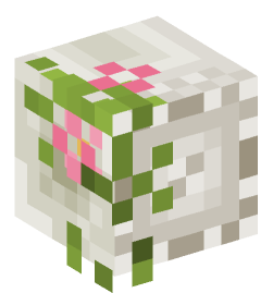 Minecraft head — Decor
