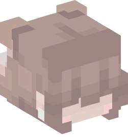 Minecraft head — People