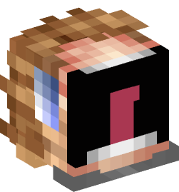 Minecraft head — People