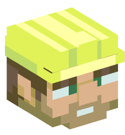 Minecraft head — People