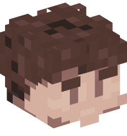 Minecraft head — People