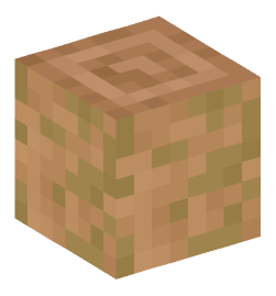 Minecraft head — Blocks