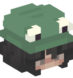 Minecraft head — People