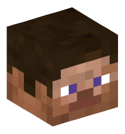 Minecraft head — Miscellaneous