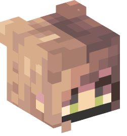 Minecraft head — People