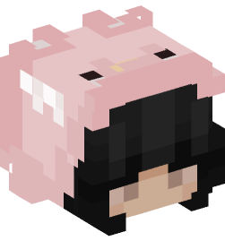 Minecraft head — People