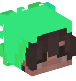 Minecraft head — People