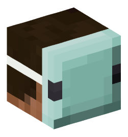 Minecraft head — People