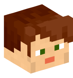 Minecraft head — People