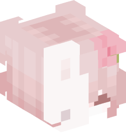 Minecraft head — People