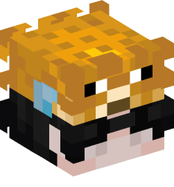 Minecraft head — People