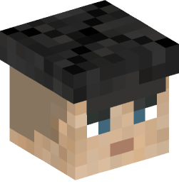 Minecraft head — People