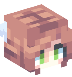 Minecraft head — People