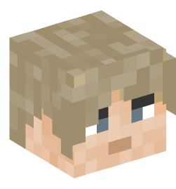 Minecraft head — People