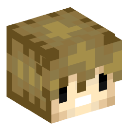 Minecraft head — People