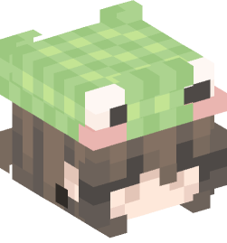 Minecraft head — People