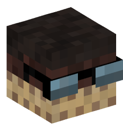 Minecraft head — People