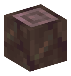 Minecraft head — Blocks