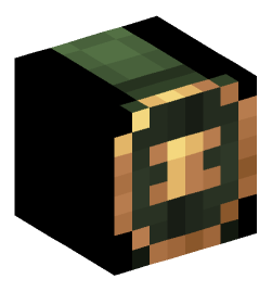 Minecraft head — Decor