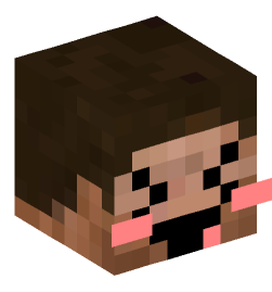 Minecraft head — People