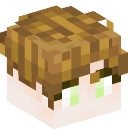 Minecraft head — People