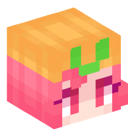 Minecraft head — People