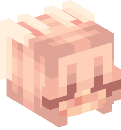 Minecraft head — People