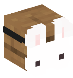 Minecraft head — Decor