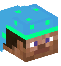 Minecraft head — People