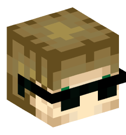 Minecraft head — People