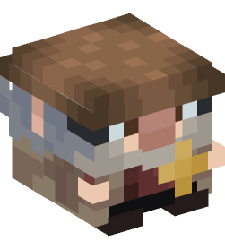 Minecraft head — Decor