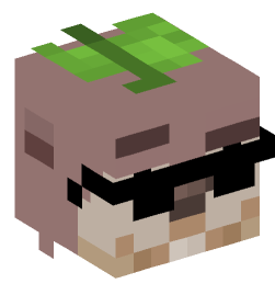 Minecraft head — Animals