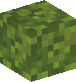 Minecraft head — Blocks