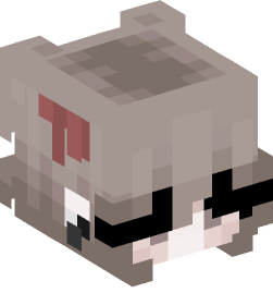 Minecraft head — People