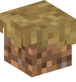 Minecraft head — Blocks