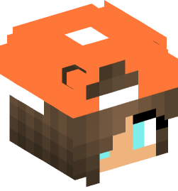 Minecraft head — People