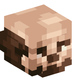 Minecraft head — People