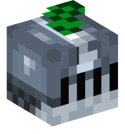 Minecraft head — People