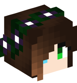 Minecraft head — People