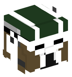 Minecraft head — People