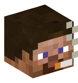 Minecraft head — People