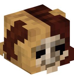 Minecraft head — People