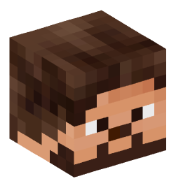 Minecraft head — People