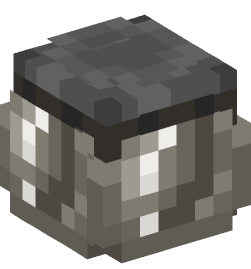 Minecraft head — Decor