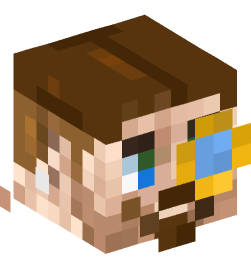 Minecraft head — People