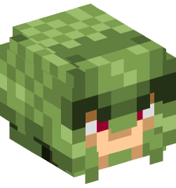 Minecraft head — People